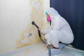 Best Commercial Mold Inspection  in Blue Mound, TX